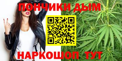 индика Тулун